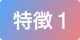 特徴1
