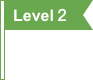 level-flag2