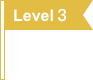 level-flag3