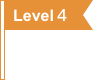 level-flag4
