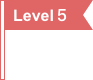 level-flag5